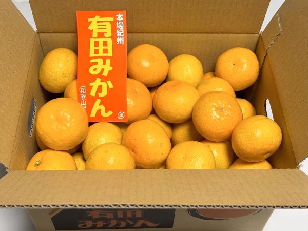 【少し訳あり】2022年和歌山県産 完熟極早生有田みかん(約5kg)