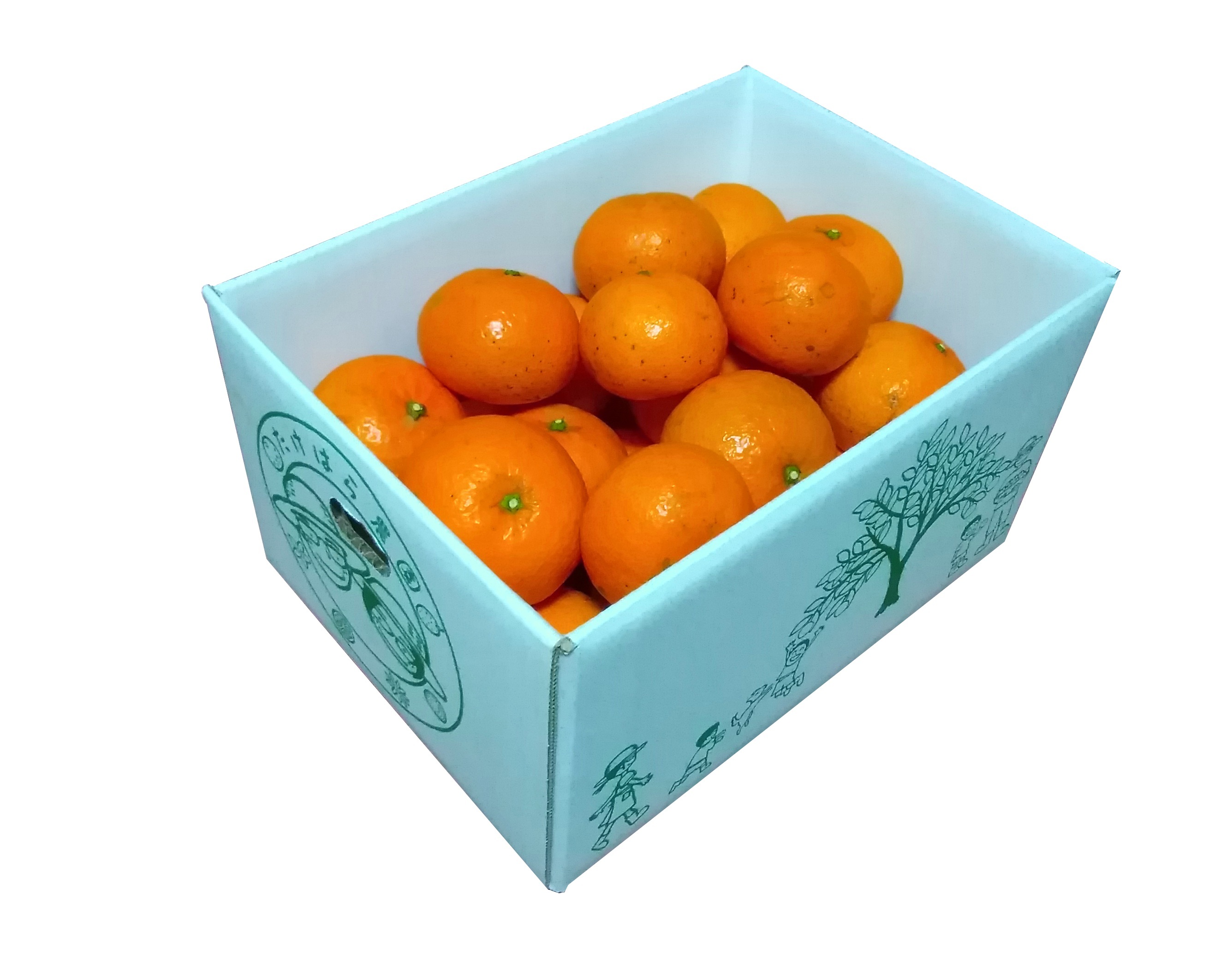 【種子島産/農家直送】たんかん10Kg（ご家庭用/M〜2Lサイズ混合）