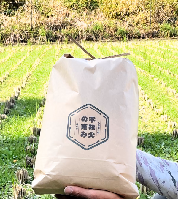 令和7年度 熊本県産　くまさんの輝き　玄米5kg