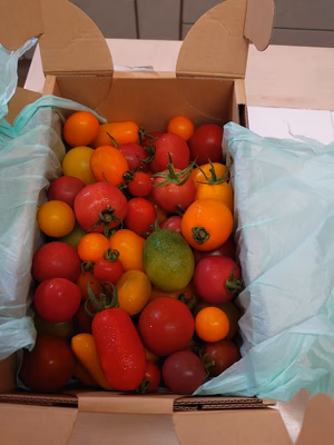 みんなの投稿の画像