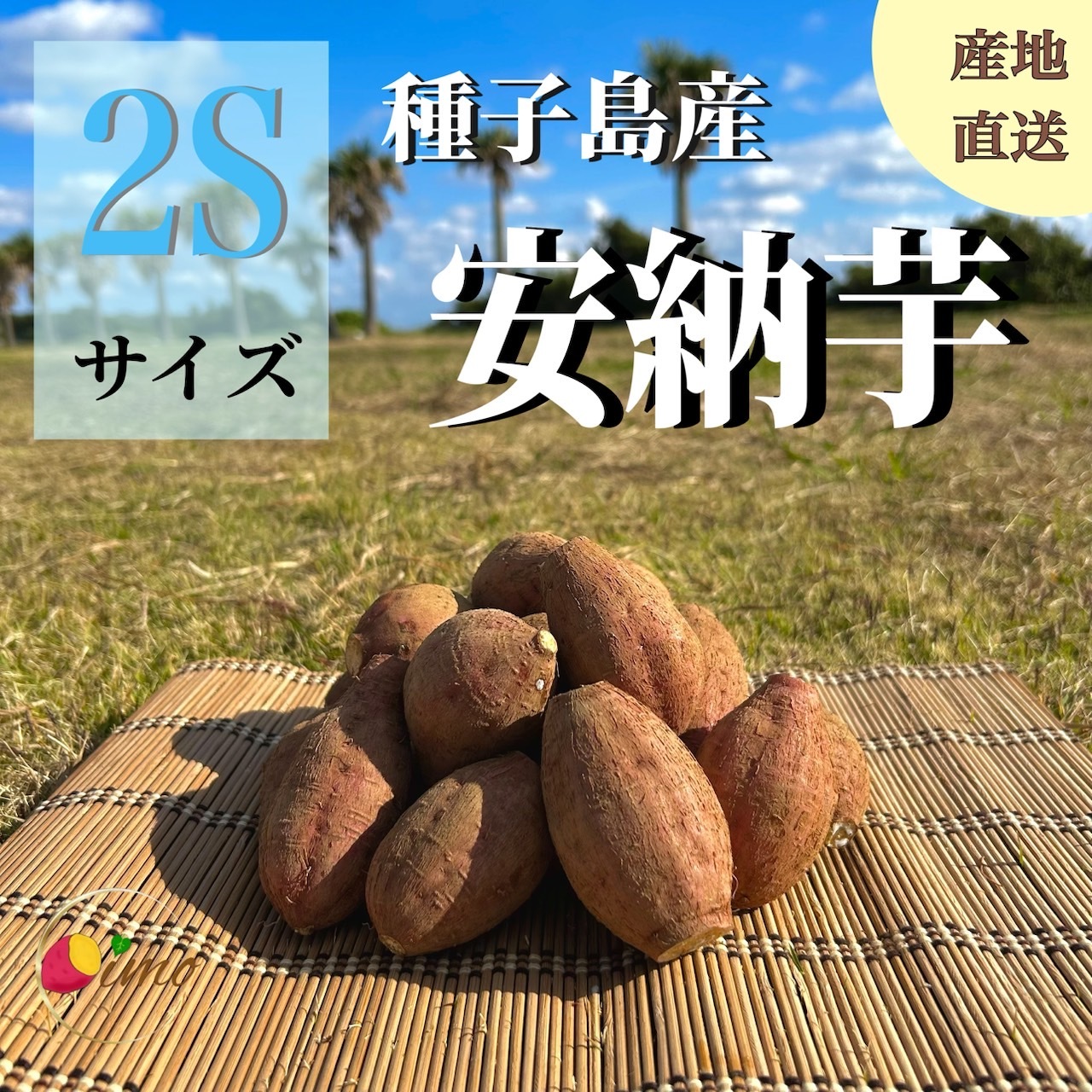 絶品】種子島産 安納芋 2Sサイズ｜aimo農園｜さつまいもの商品詳細