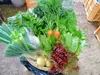 【定期便】日常使用する野菜を中心とした季節の野菜セット