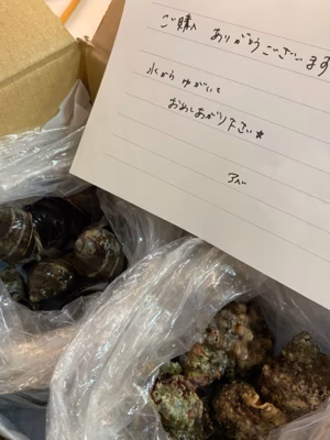 みんなの投稿の画像