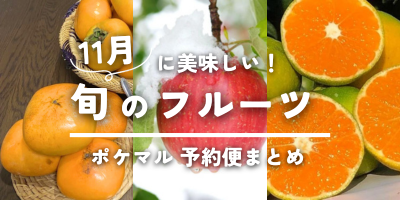 2023年版】11月が旬の果物（りんご・柿・みかん 等）旬食材 予約・購入