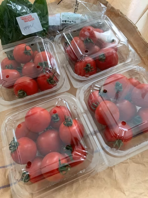 みんなの投稿の画像