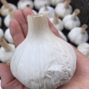 これぞ『夏にピッタリ』! ガツンとくるにんにく