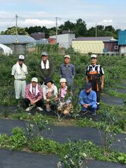 北海道産 有機jas認証 オーガニック 生ブルーベリー1 農家漁師から産地直送の通販 ポケットマルシェ