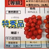 特秀★紅秀峰★山形県のさくらんぼ【500g】※クール便6月末〜発送予定