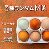 3種ランダムMIX　クリスマスたまご×30個‼︎