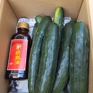 【ゴマ油つき】暑気払いにオススメのキュウリ1.4kg（農薬は使用していません）