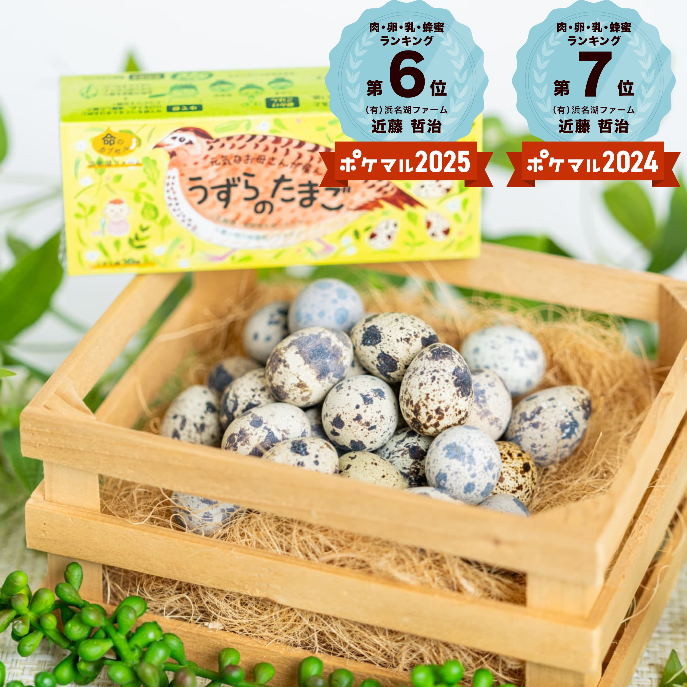 プレゼントにもぴったり！】うずらぼっくす〔うずら生卵・燻製玉子