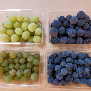 青森県産　ブドウ粒ミックス（シャインマスカット、ピオーネ他）　家庭用