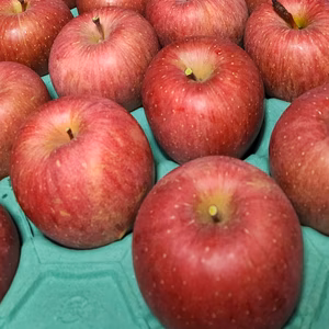 青森県産　糖度14%保証　蜜入りさんふじ　16個～18個