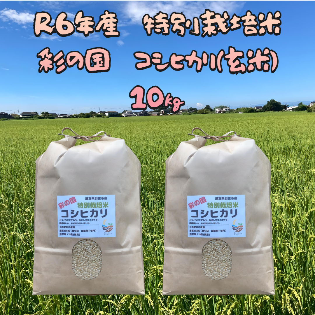 栃木米、コシヒカリ（R６年産）玄米２５ｋｇ、農家直送の自家米 caf2a3ea717a5a8a99d56f3d19d1ce