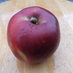 ☆秋の人気者☆【福島のリンゴ紅玉】3キロ訳あり加工用