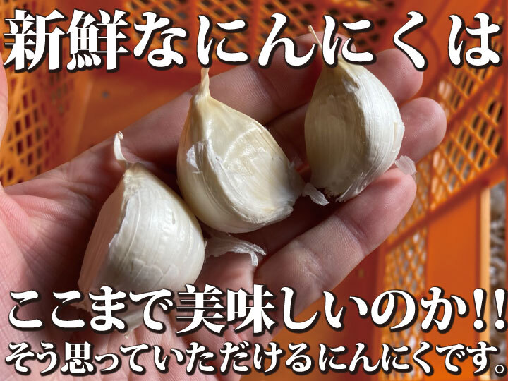 数量限定特別セール中！】令和５年新物 青森県産にんにく最高級品種