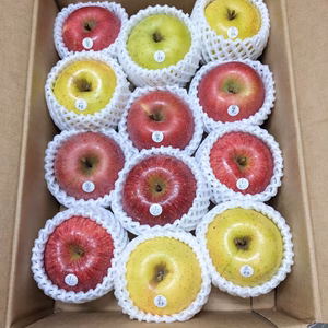 12月発送予約【3品種以上確定！】りんごの玉手箱 品種お任せ 農薬60％減