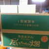 春みかん【丹生】  木なり熟成みかん3㎏【秀】有田みかん 
