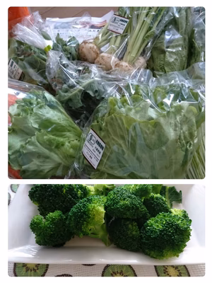 みんなの投稿の画像