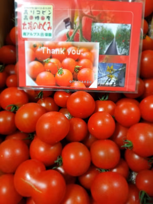 みんなの投稿の画像