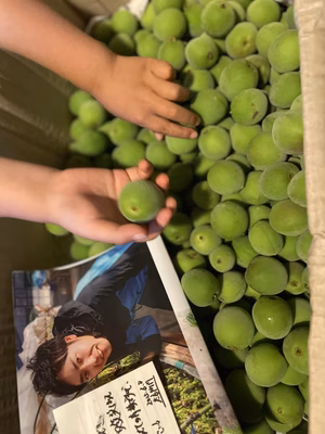 みんなの投稿の画像