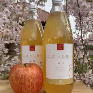 [無添加・果汁100%アップルジュース] ごほうび搾り ふじ 1000ml×3