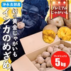 幻の黄金じゃがいも　インカのめざめ５kg