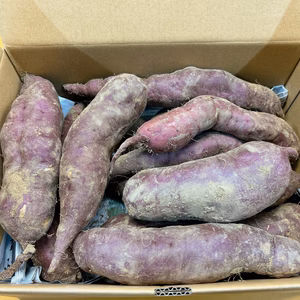 訳あり　さつまいも3kg