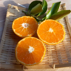 Mサイズで見た目は悪いがナカミは器量よし！みかん　箱込5㌔　説明必読！！