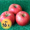 【贈答用】りんご（陽光）16玉箱入
