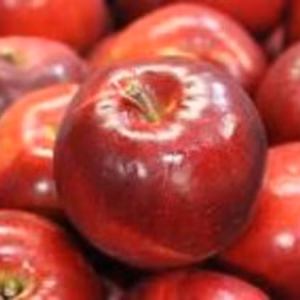 紅玉　今がお買い得　調理・加工に最適