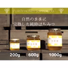 国産はちみつ　福岡県産　百花蜜　600g　単品とセット販売品　ハチミツ　蜂蜜