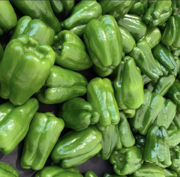 【予約特典あり】「たじまのピーマン１ｋｇ」をお届け！