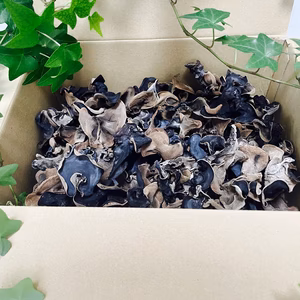 アラゲキクラゲ　乾燥キクラゲ　乾燥きくらげ　ラーメン　中華料理　