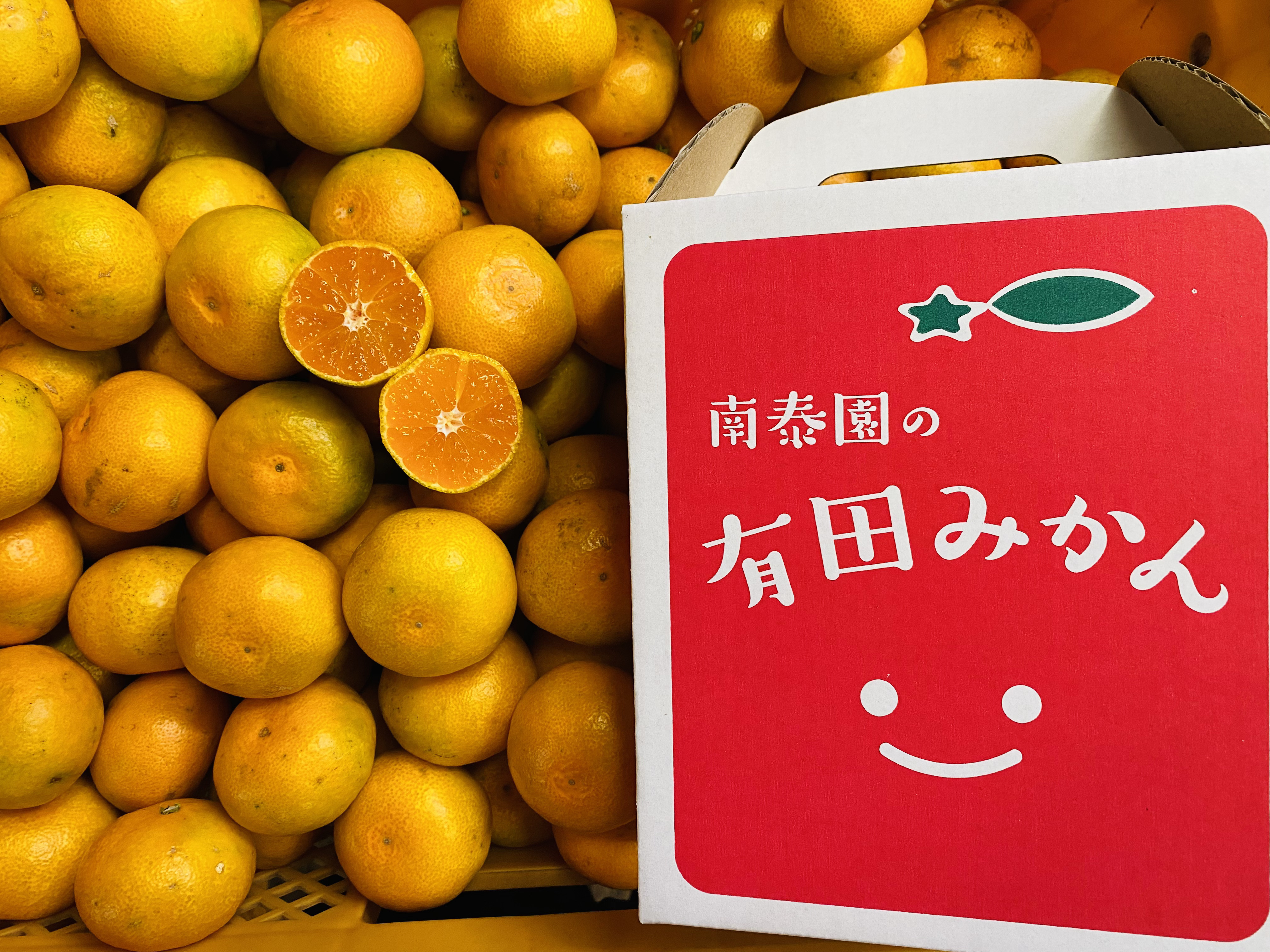 [極早生・有田みかん]“小玉ちゃん"/等級混合・約2.2kg[南泰園] 小玉ちゃん正味5kg/等級混合