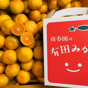 【極早生・有田みかん】“小玉ちゃん”／等級混合・約2.2kg【南泰園】