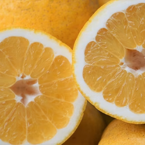 送料無料！！訳あり　河内晩柑！　キズ、黒点あり！