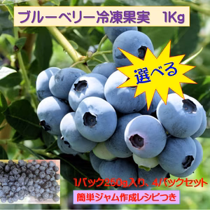 大容量の冷凍ブルーベリー：選べる１Kg