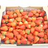 収穫量が多い日限定セール！ 総重量2kg! 優しさに溢れた幸せなイチゴの味
