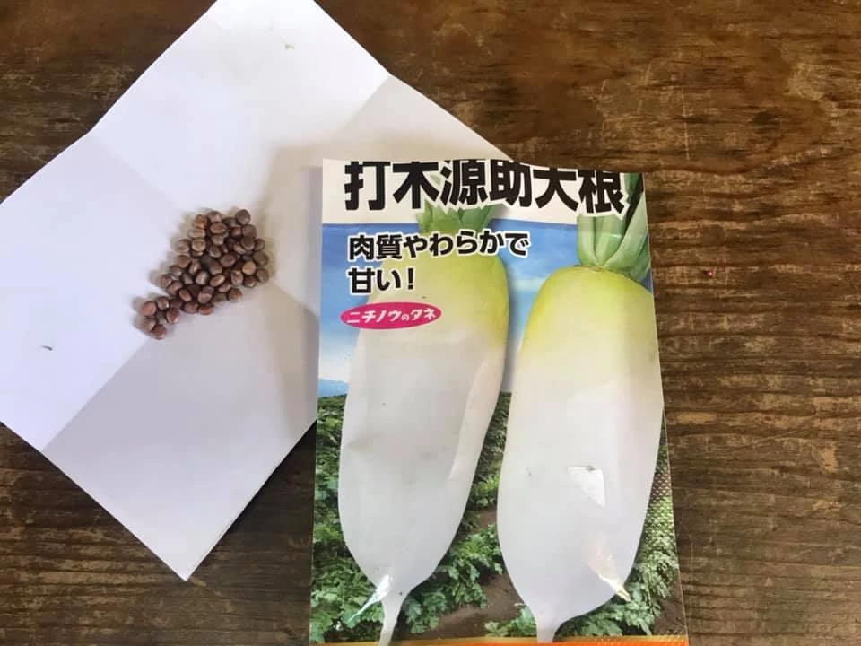 【新感覚・ラーメンに最高】大根糀漬け【送料200円】（無添加）種から物語