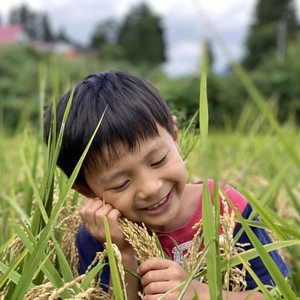 ササシグレ 無農薬　無化学肥料  弱アルカリ性のお米　無洗米　合鴨農法 長野