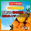 高糖度紅はっさく+和歌山の清見みかんセット10kg 減農薬！濃い！甘い！紅八朔