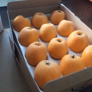 農薬不使用 房州のおいしい枇杷 ご贈答用