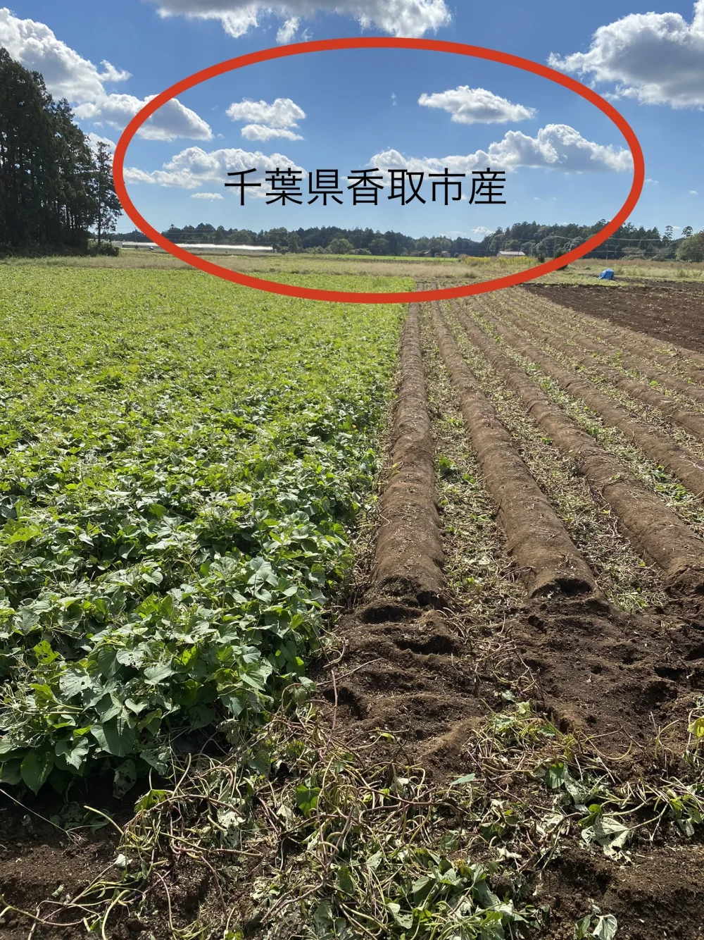  滑らかな舌触り【シルクスイート 1.8kg S/SS】