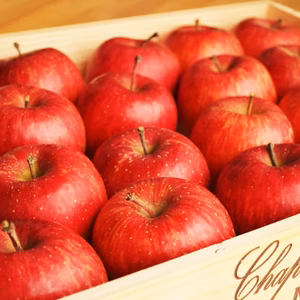 【蔵出しりんご】ふじ