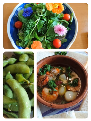 みんなの投稿の画像