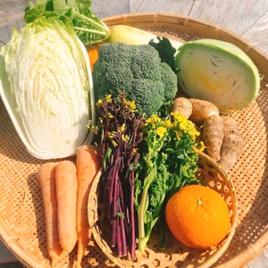 無農薬・野菜セット（スポット）