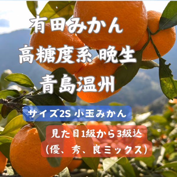 有田みかん　青島温州 晩生　サイズ2S 見た目1級から3級品ミックス　和歌山県