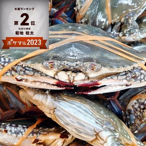 活梱包 ワタリガニメス大サイズ１k～2kg 雌 ガザミ カニ類 蟹類