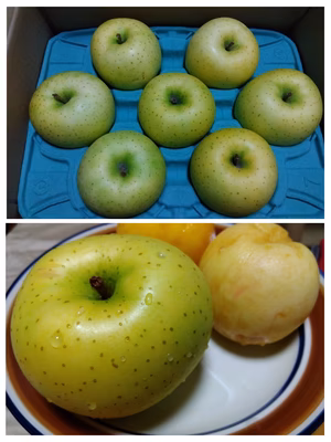 みんなの投稿の画像